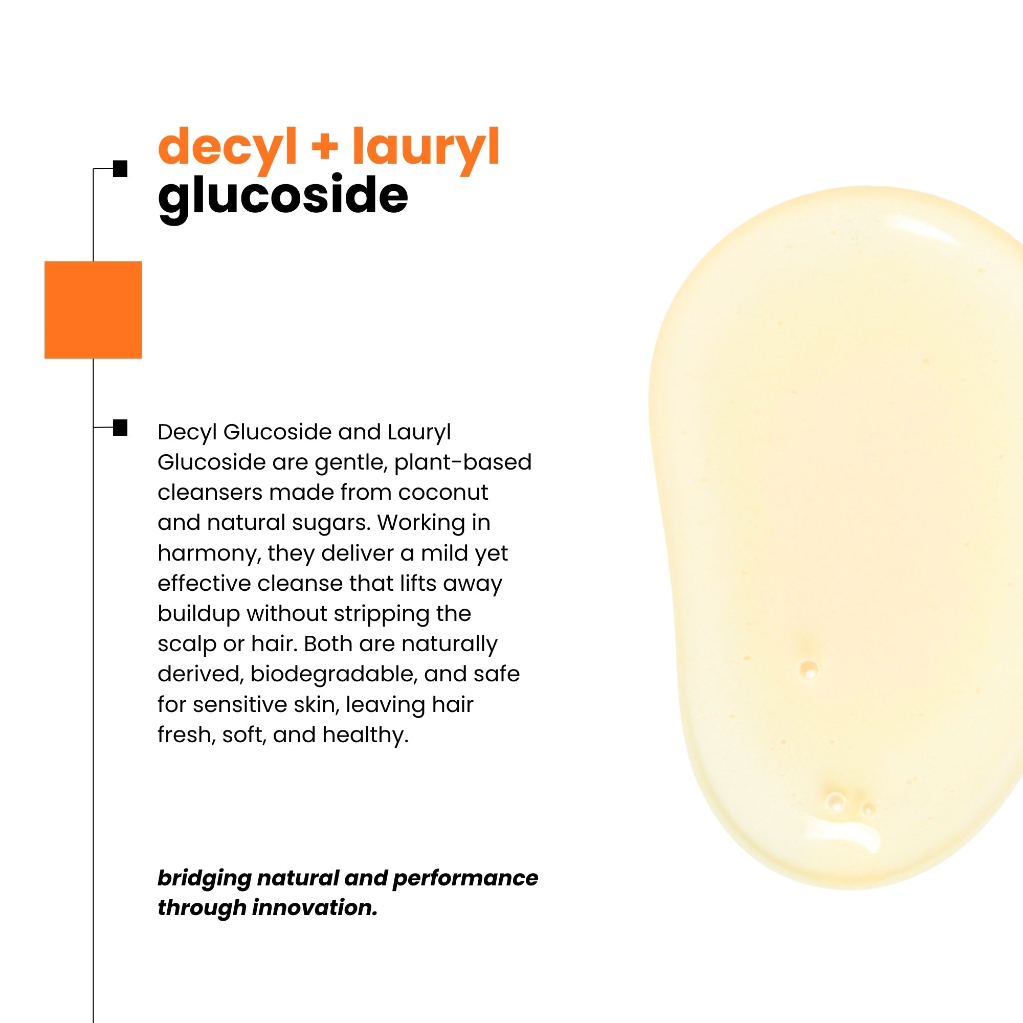 Black Seed & Turmeric Gentle Cleansing and Clarifying Shampoo for Daily Use - Noun Naturals Habibi Oil - Habibi Life - Noun Beard Oil - Habibi Oil - Hair Growth Oil