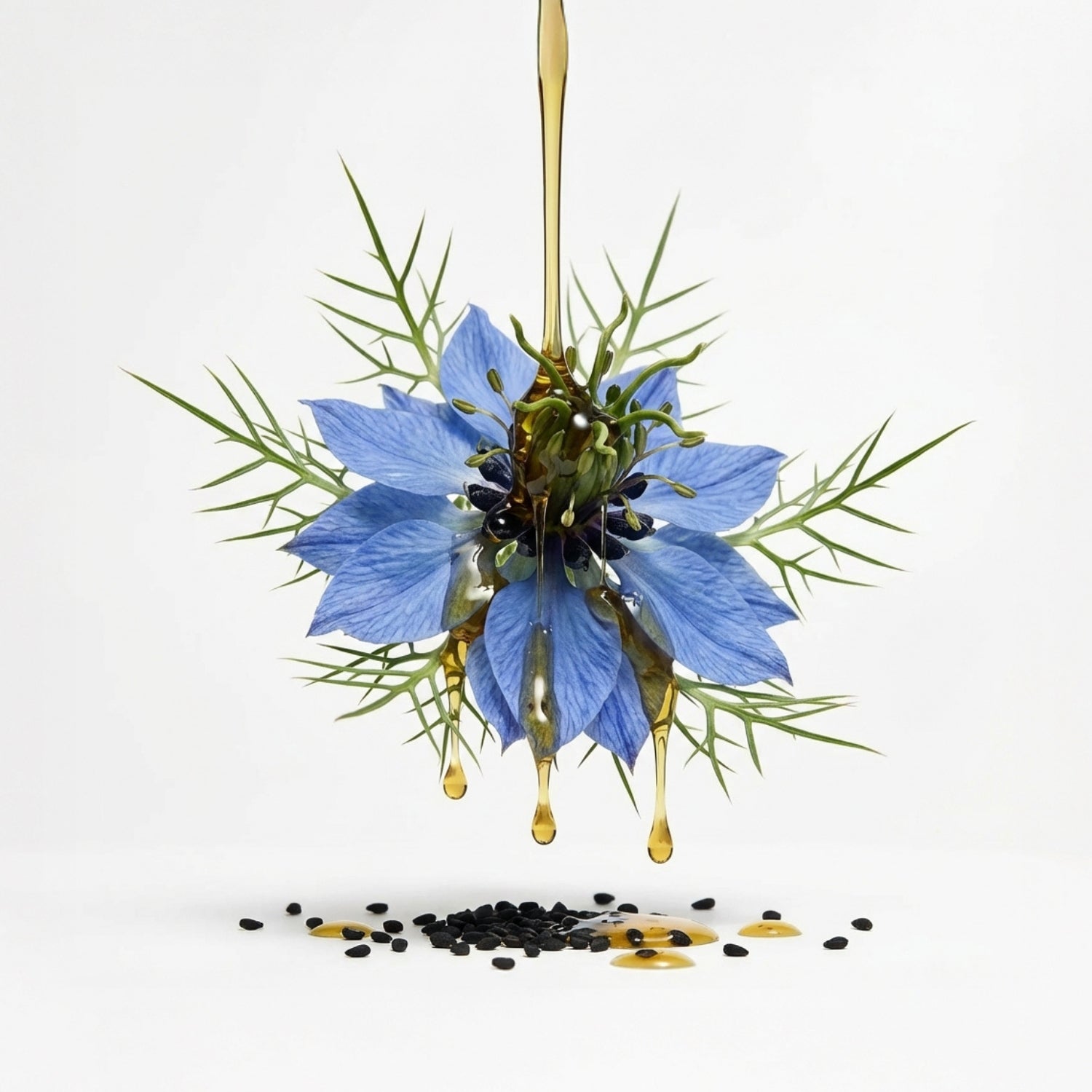 black seed for hair noun hair oil