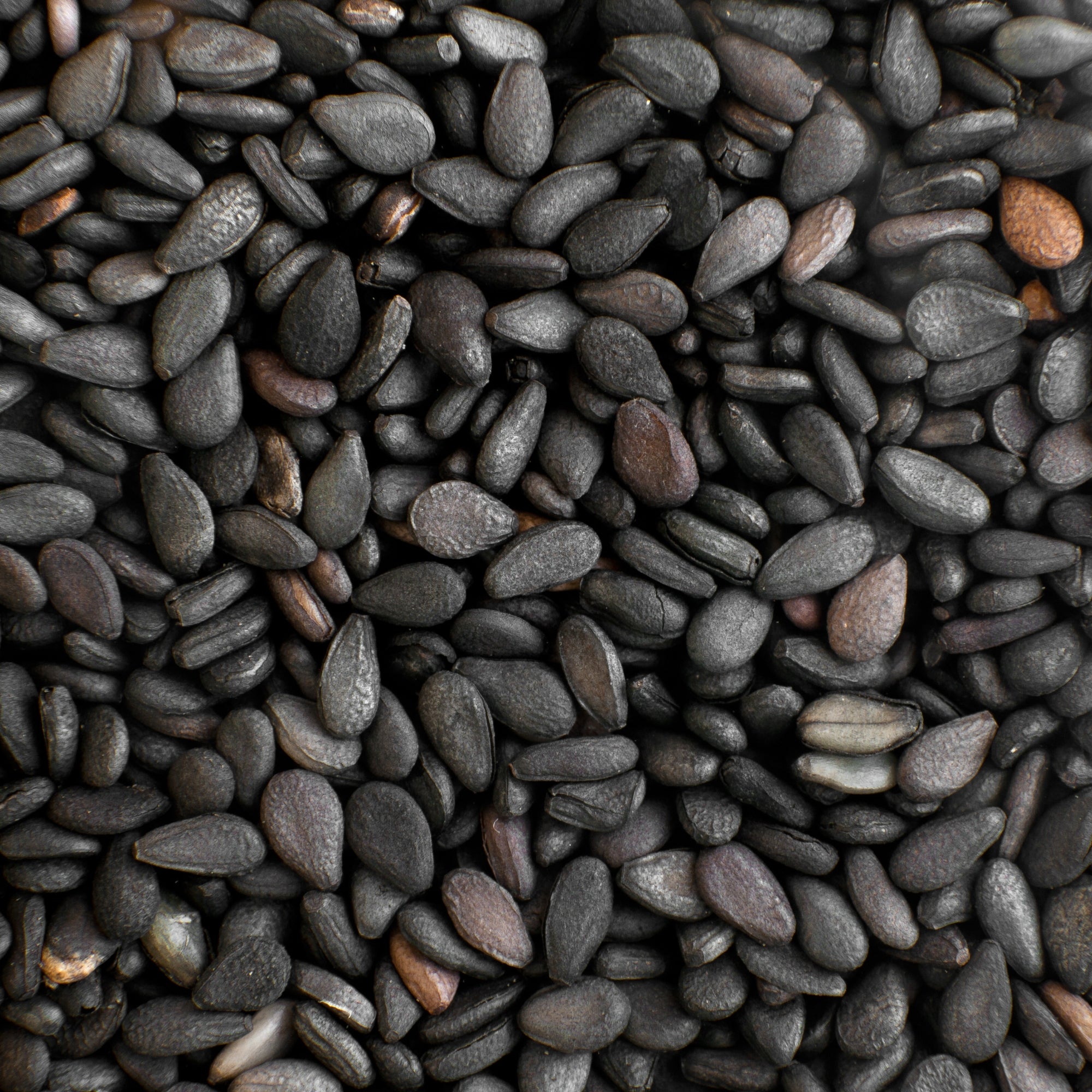 Black Seed Oil